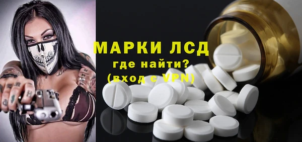 прущие грибы Балахна