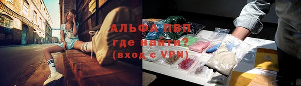 прущие грибы Балахна