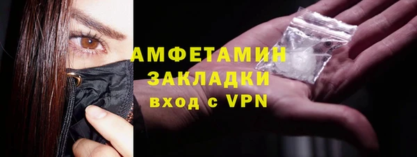 прущие грибы Балахна