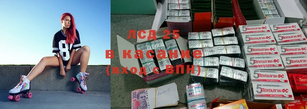 прущие грибы Балахна