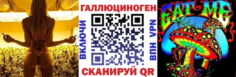 Галлюциногенные грибы Psilocybe  Кодинск 